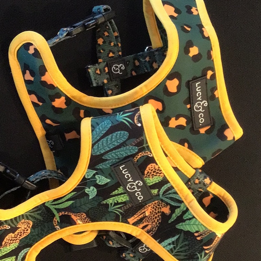 Reversible dog harnesses